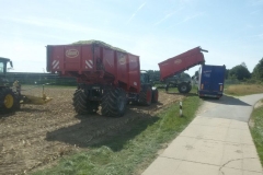 DBV Ernte Laden LKW