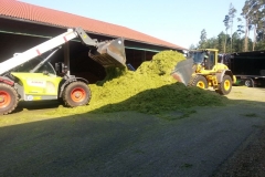 DBV Umschichtarbeiten Silage