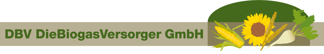 diebiogasversorger.de